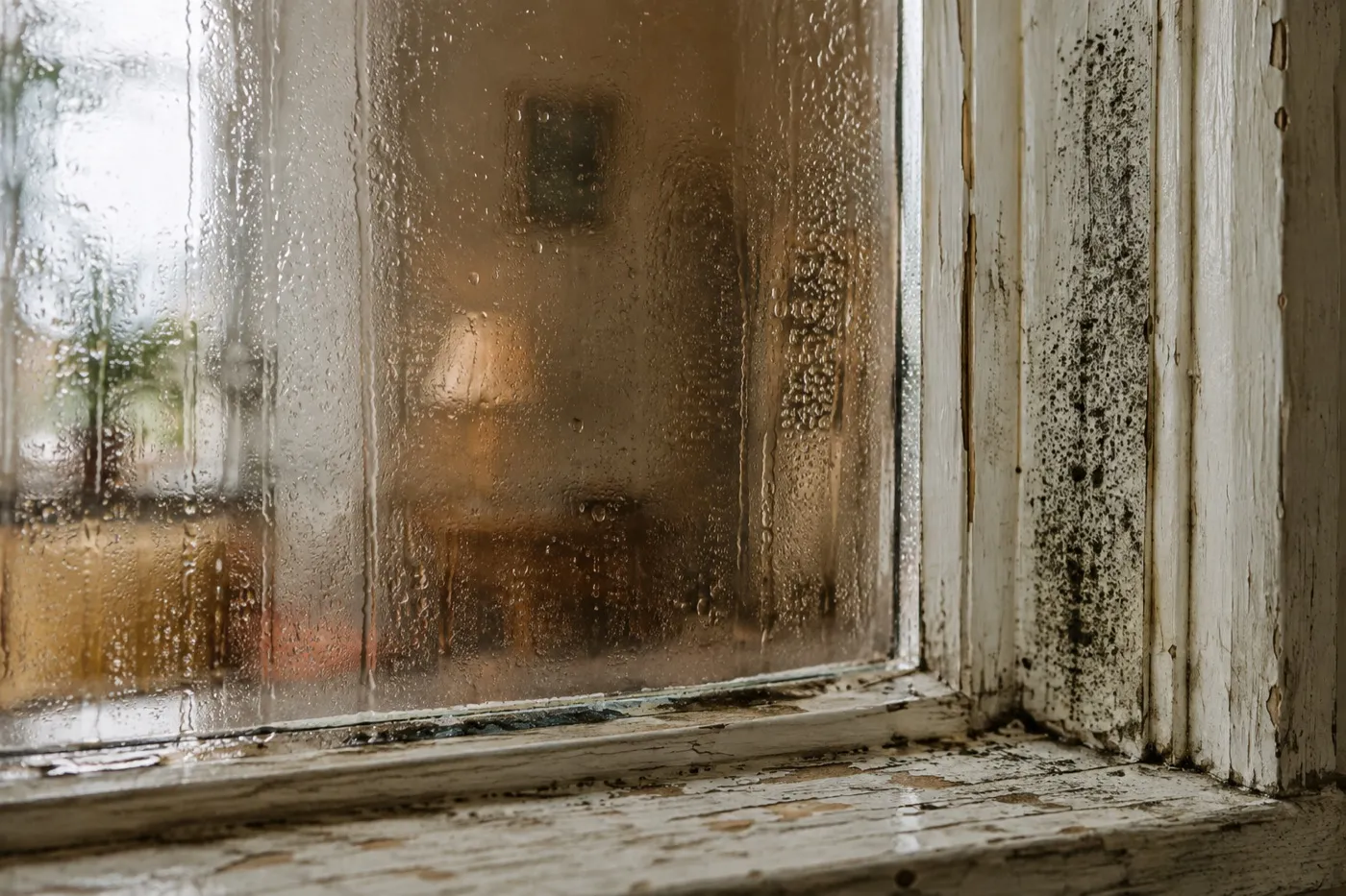 Condensation on an old single-glazed window in an Irish home, the classic sign of cold surfaces and poor ventilation